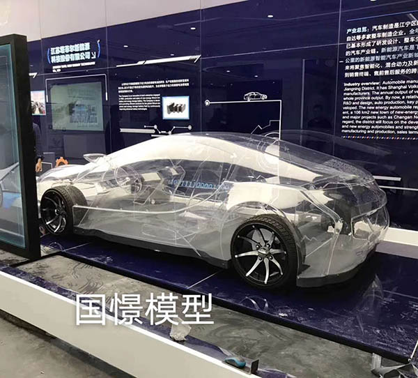 民乐县透明车模型